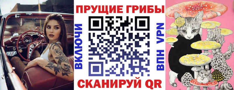 Псилоцибиновые грибы прущие грибы  Белозерск 